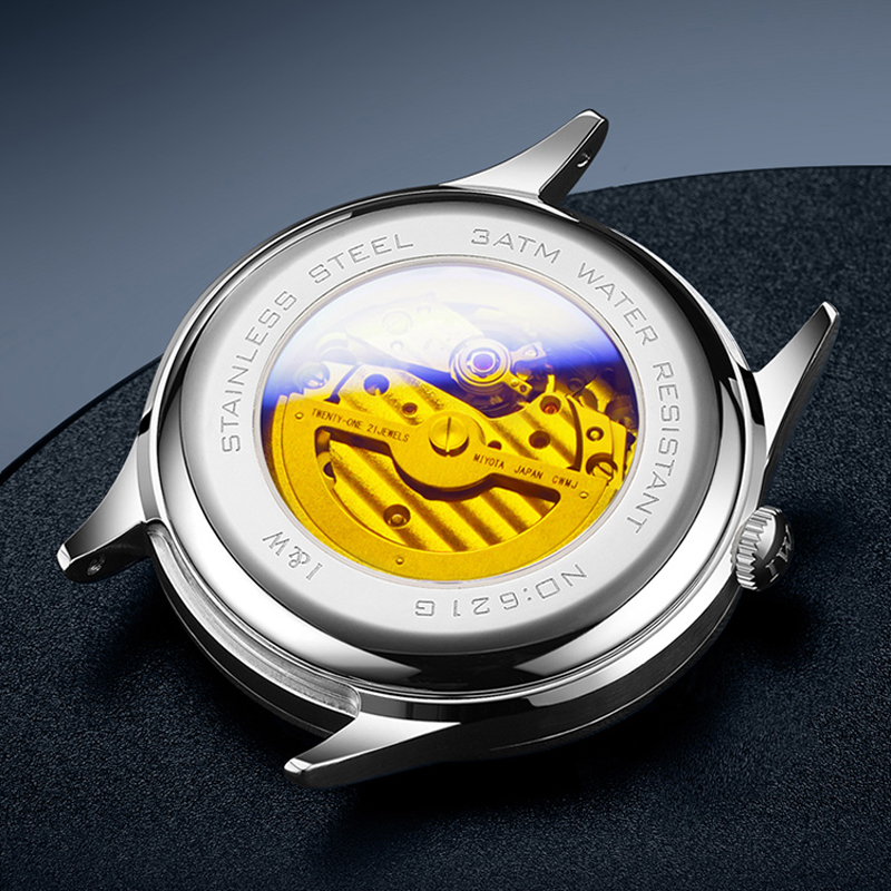 Carnival Brand High-end IW Ser - Luxury Watch All Brands recension och pris